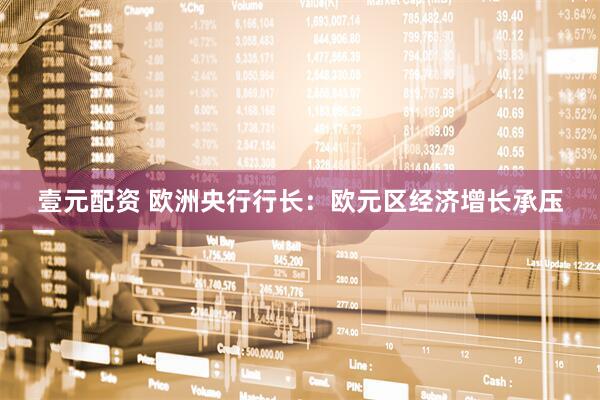 壹元配资 欧洲央行行长：欧元区经济增长承压
