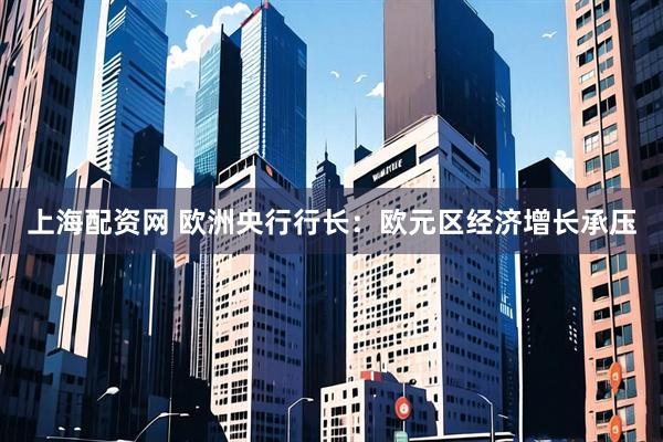 上海配资网 欧洲央行行长：欧元区经济增长承压