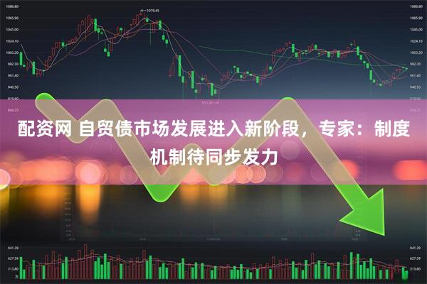 配资网 自贸债市场发展进入新阶段，专家：制度机制待同步发力