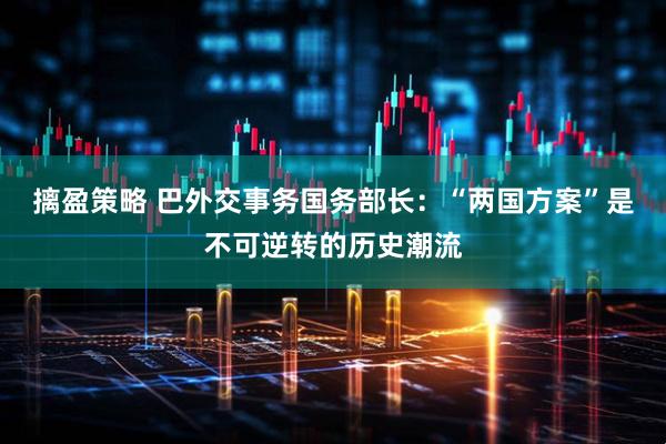 摛盈策略 巴外交事务国务部长：“两国方案”是不可逆转的历史潮流